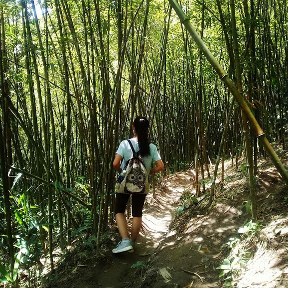 Huong trekking - 4 địa điểm hấp dẫn nhất ở Tả Van, Sapa