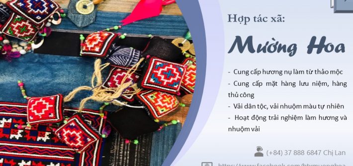 HTX Muong Hoa 710x335 - Đặc sắc trải nghiệm nghề làm hương truyền thống người Giáy Sapa tại HTX Mường Hoa