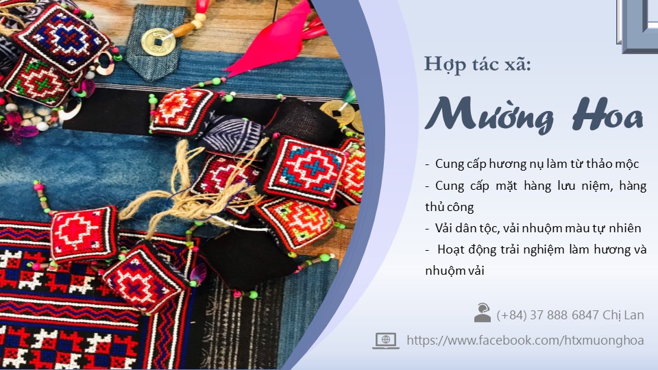HTX Muong Hoa - Đặc sắc trải nghiệm nghề làm hương truyền thống người Giáy Sapa tại HTX Mường Hoa