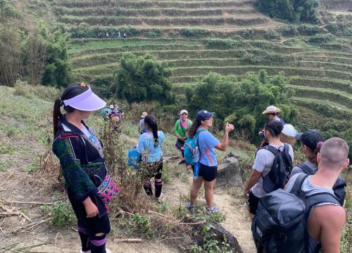 Unforgettable Encounters: Why Travelers Love Sapa Trekking Tours