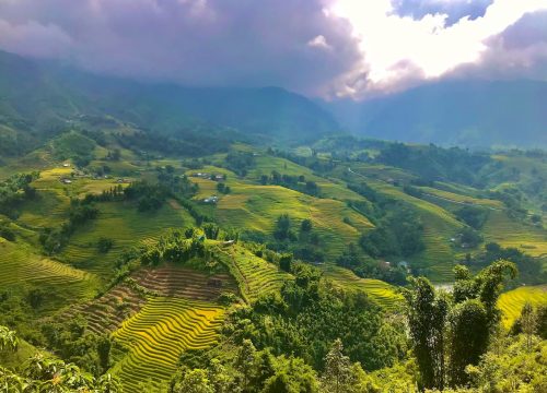 The Truth About Sapa Treks: Real Reviews from Adventurous Travelers (2024)